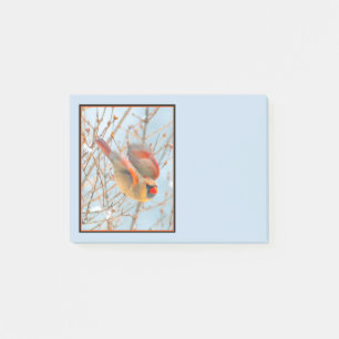 Noordelijke Kardinaal vliegen - Oorspronkelijke fo Post-it® Notes