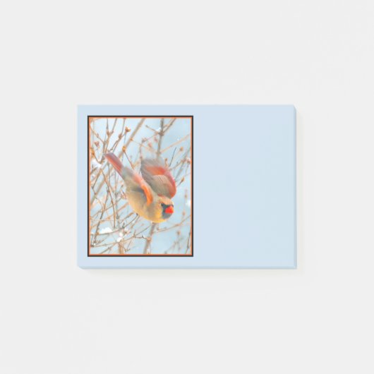 Noordelijke Kardinaal vliegen - Oorspronkelijke fo Post-it® Notes (Voorkant)