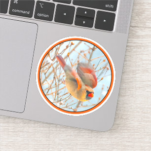 Noordelijke Kardinaal vliegen - Oorspronkelijke fo Sticker