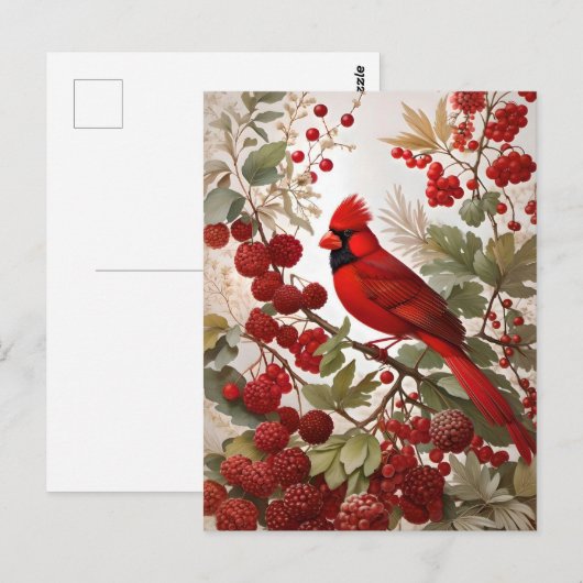 Noordelijke Kardinaal Vogel Rode Bessen Briefkaart (Voorkant / Achterkant)
