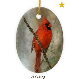 Noordelijke Kardinaal Vogel Schilderij Jaar Kerstm Keramisch Ornament