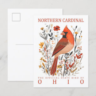 Noordelijke Kardinaal Vogel van Ohio USA Briefkaart