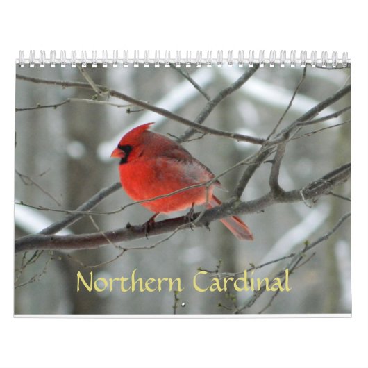 Noordelijke kardinaalkalender kalender (Hoes)