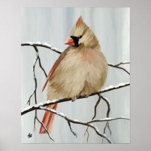 Noordelijke Kardinaalvogel in de Winter Poster