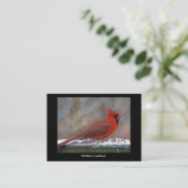 Noordelijke Kardinale ATC Visitekaartje (Staand voorkant)