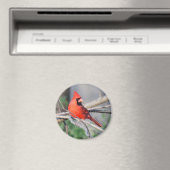 Noordelijke kardinale Bossen Magneet (Insitu (Vaatwasser))
