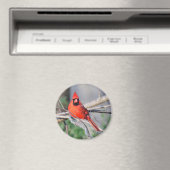 noordelijke Kardinale foto Magneet (Insitu (Vaatwasser))