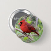 noordelijke Kardinale foto Ronde Button 5,7 Cm (Voorkant /achterkant)