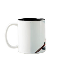 noordelijke Kardinale foto