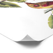  noordelijke kardinale kardinale schildering van A Poster (Hoek)