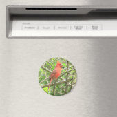 Noordelijke kardinale magneet (Insitu (Vaatwasser))