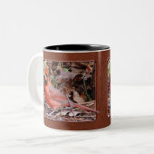 Noordelijke Kardinale Mok (Voorkant links)