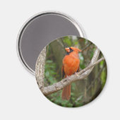  noordelijke kardinale vogelmagneet magneet (Voorkant / Achterkant)