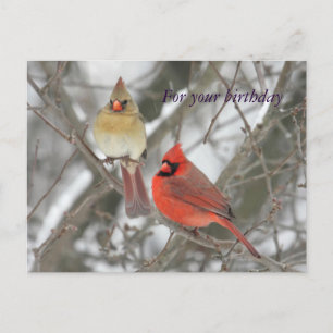 Noordelijke Kardinalen Birthday Greetings Briefkaart