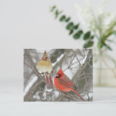 Noordelijke Kardinalen Briefkaart (Staand voorkant)