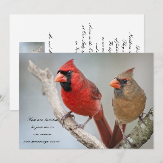 Noordelijke Kardinalen/Hernieuwing van het huwelij Kaart (Voorkant / Achterkant)