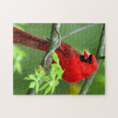 Noordelijke kardinalen legpuzzel (Horizontaal)