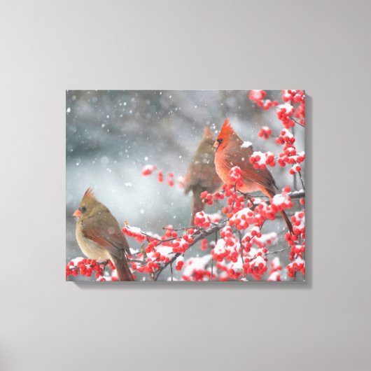 Noordelijke Kardinalen | Marion, Illinois Canvas Afdruk (Voorkant)