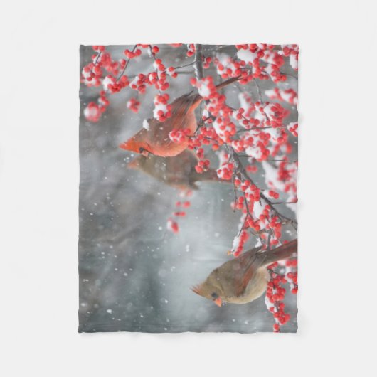 Noordelijke Kardinalen | Marion, Illinois Fleece Deken (Voorkant)