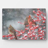 Noordelijke Kardinalen | Marion, Illinois Fotoplaat (voorkant)