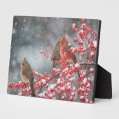 Noordelijke Kardinalen | Marion, Illinois Fotoplaat (Zijkant)