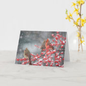 Noordelijke Kardinalen | Marion, Illinois Kaart (Gele Bloem)