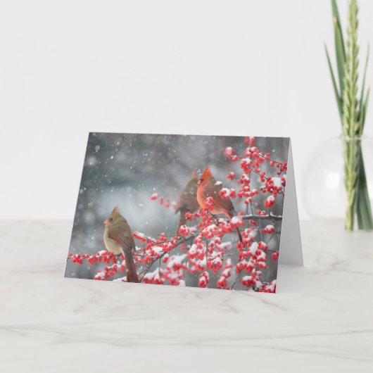 Noordelijke Kardinalen | Marion, Illinois Kaart (Voorkant)