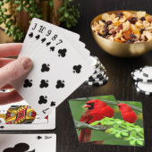 Noordelijke kardinalen pokerkaarten (Insitu)
