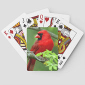 Noordelijke kardinalen pokerkaarten (Achterkant)