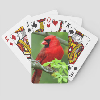 Noordelijke kardinalen pokerkaarten