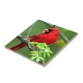 Noordelijke kardinalen tegeltje (Zijkant)