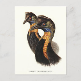 Noordelijke kassabedrijven,  vogels briefkaart