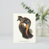 Noordelijke kassabedrijven, vogels briefkaart (Staand voorkant)