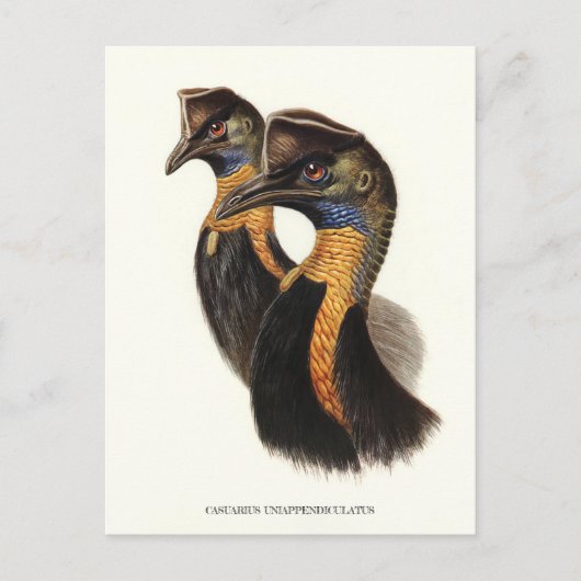 Noordelijke kassabedrijven, vogels briefkaart (Voorkant)