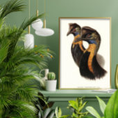 Noordelijke kassabedrijven,  vogels poster