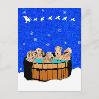 NOORDELIJKE KERSTMIS VAN CALIFORNIË FEESTDAGENKAART