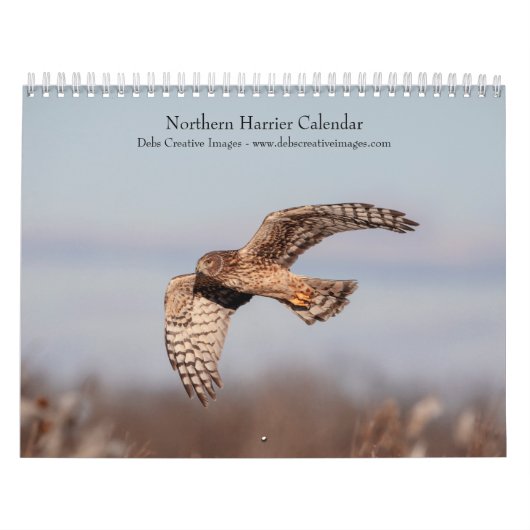 Noordelijke Kiekendief 2026 Kalender (Hoes)