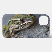 Noordelijke kikker, doorkijkeiland, Case-Mate iPhone case (Achterkant (horizontaal))
