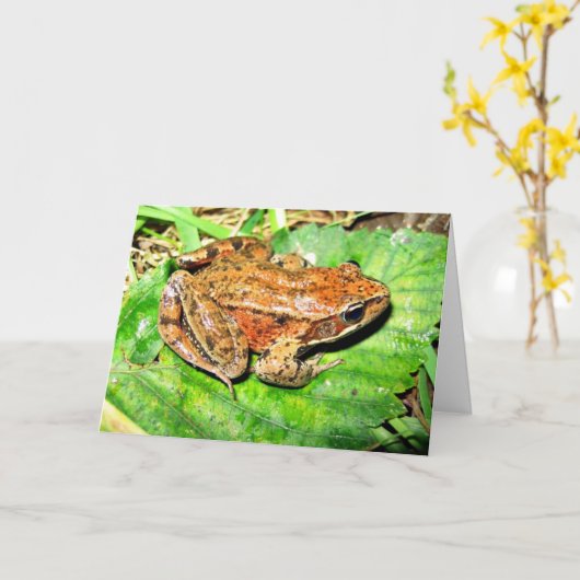 Noordelijke kikker Met rode poten Kaart (Gele Bloem)