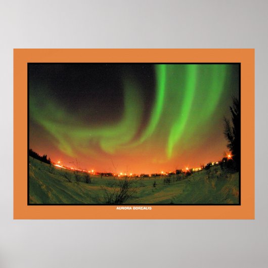 Noordelijke lammeren Aurora Borealis Poster (Voorkant)