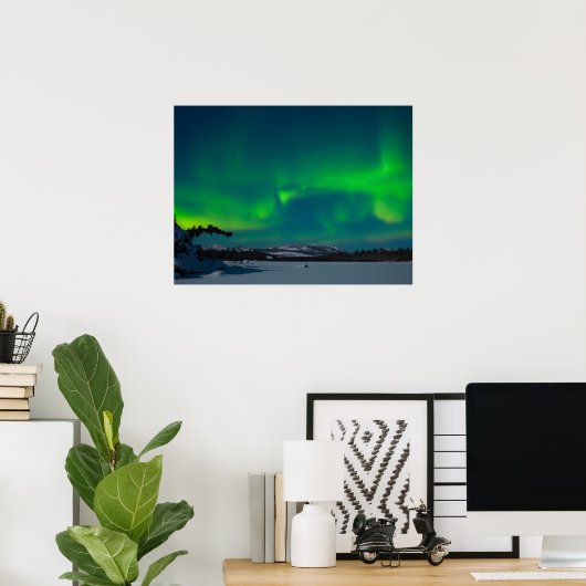 Noordelijke lammeren (Aurora borealis) Poster (Thuiskantoor)