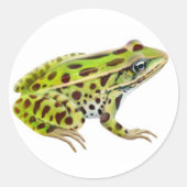 Noordelijke Leopard Frog Sticker (Voorkant)