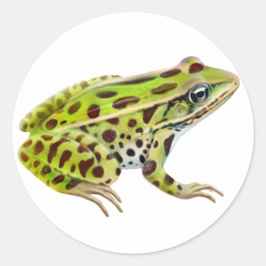 Noordelijke Leopard Frog Sticker (Voorkant)