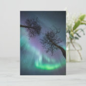 Noordelijke lichtbomen kaart (Staand voorkant)