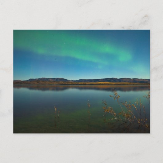 Noordelijke lichten (Aurora borealis) Briefkaart (Voorkant)