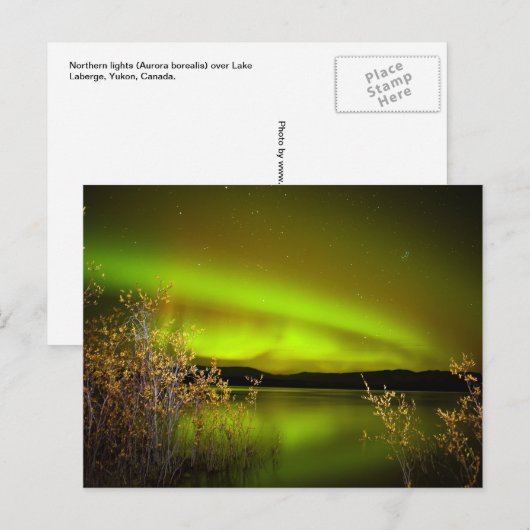 Noordelijke lichten (Aurora borealis) Briefkaart (Voorkant / Achterkant)