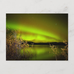 Noordelijke lichten (Aurora borealis) Briefkaart