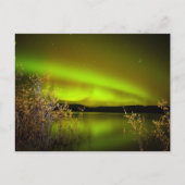 Noordelijke lichten (Aurora borealis) Briefkaart (Voorkant)