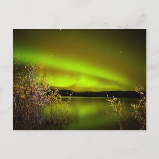 Noordelijke lichten (Aurora borealis) Briefkaart (Voorkant)