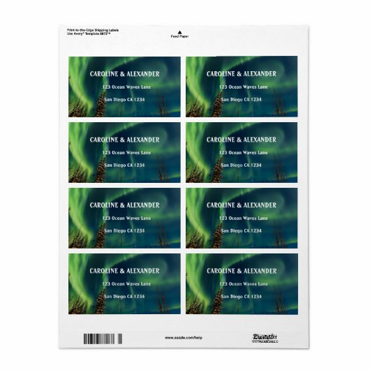 Noordelijke Lichten Aurora Borealis Night Sky Wedd Etiket (Full Sheet)